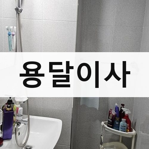 서울 서남·서북 용달이사 포장이사