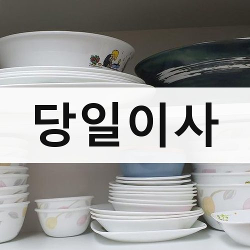 서울 서남·서북 당일이사 포장이사